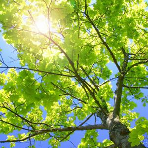 俄罗斯老大妈发型找80岁的老头裸体性交真人真事的视频
